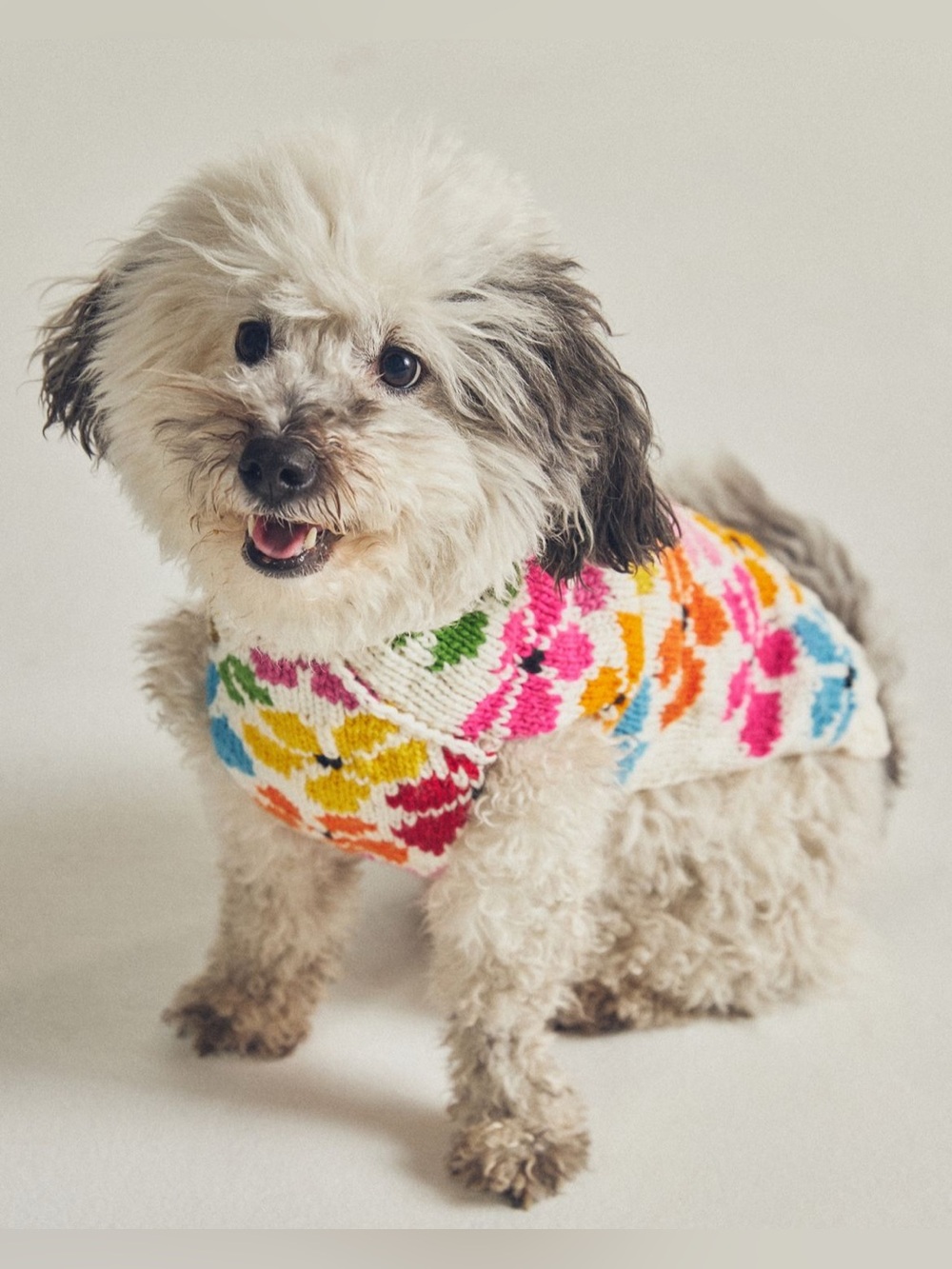NWT XL Anthropologie Chilly Dog Floral Flower Sweater